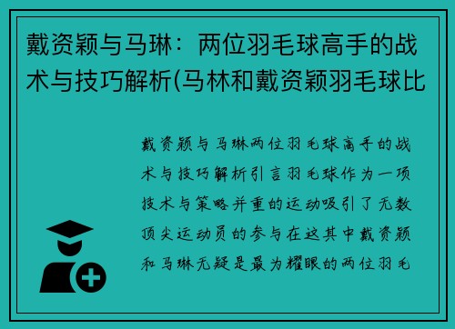 戴资颖与马琳：两位羽毛球高手的战术与技巧解析(马林和戴资颖羽毛球比赛)